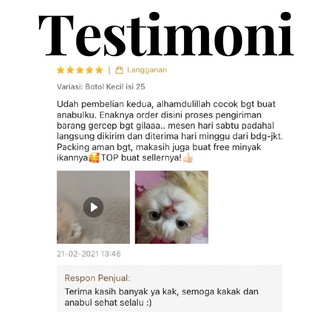 Immune Support Capsules For Cats Suplemen Daya Tahan Tubuh Kucing FEFARM