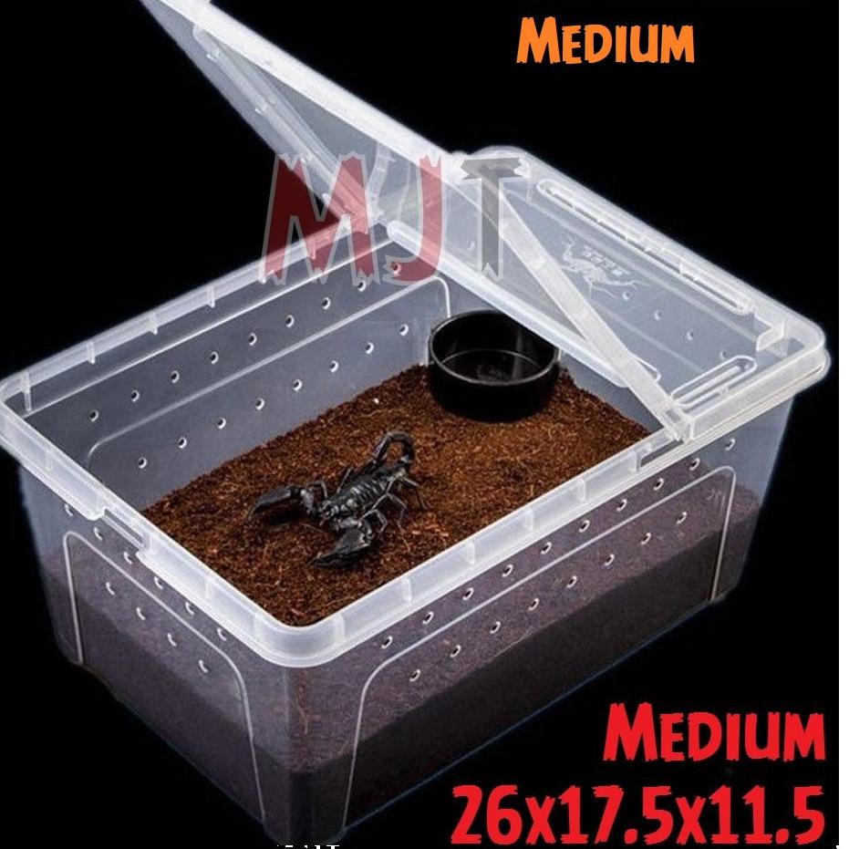 BISA COD - Breeding Box Kotak Kandang Reptil Tarantula Enclosure Feeding Box NOMOY H4 Wadah Gecko Ig