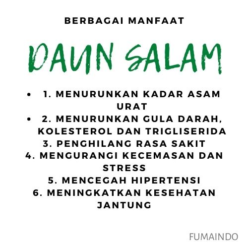 Daun Salam 25gr / Bay Leaves / Salam Kering / Rempah / Bumbu Dapur