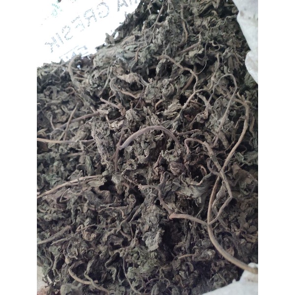 Daun Insulin Super Kering Herbal Untuk diabetes