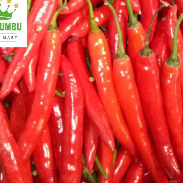 

♂ Cabe Merah Besar Segar 1 kg / Cabai TW Fresh 1 kg ☜