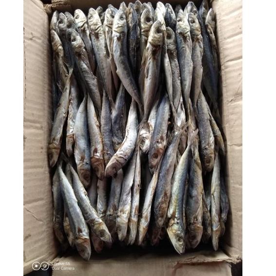 

G90 Ikan Asin Klotok/Peda/Layang 1kg HARGA MURAH BLT29