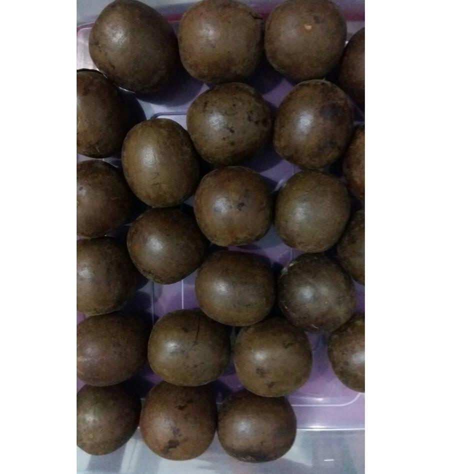 

☚ BUAH LO HAN KUO / LOHANKUO ISI 10 BUAH ♛