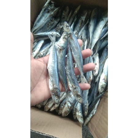 

Ikan Asin Peda, Petek, Teri, Semenit asli Banyuwangi
