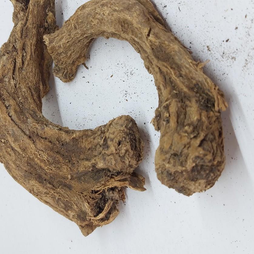 

☛ PUCUK SAUSSUREA COSTUS ◘