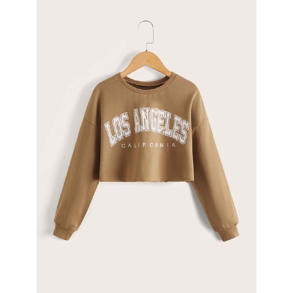 SWEATER CROP ALL SIZE M L XL 2XL 3XL 4XL 5XL 6XL CREWNECK DISTRO SWEATER BASIC BIG SIZE LOS ANGELES 