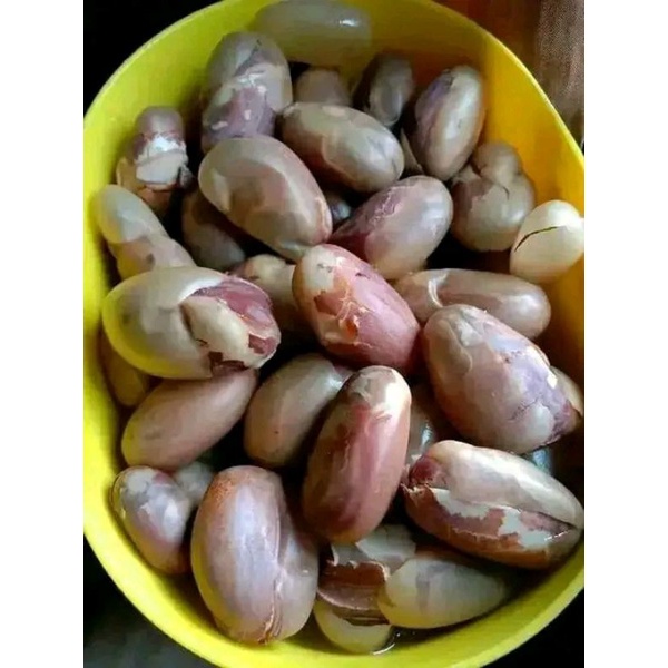 

CEMILAN BIJI NANGKA.MNTAH BUAT DIMASAK.500gram.MAKANAN LEGEN ENAK BUAT DINIKMATI