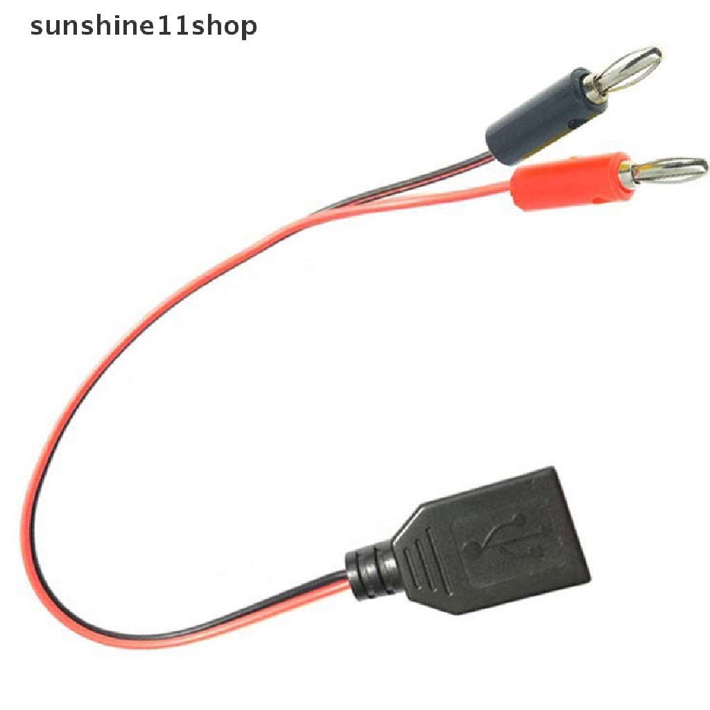 Sho USB Female to 4MM Banana Plug Test Lead Kabel Cas Soket USB Ke Steker Pisang N