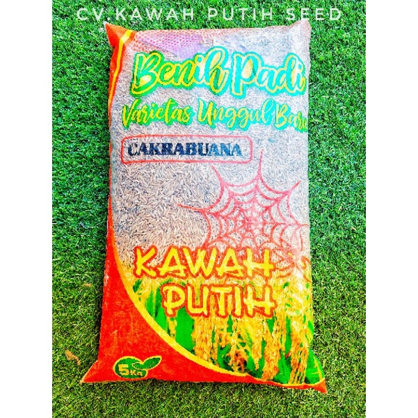 Benih Padi Cakrabuana Agritan 5kg Bersertifikat Label Ungu Kawah Putih Seed Indramayu