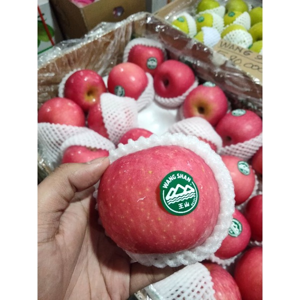 

BUAH APEL WANGSAN PREMIUM