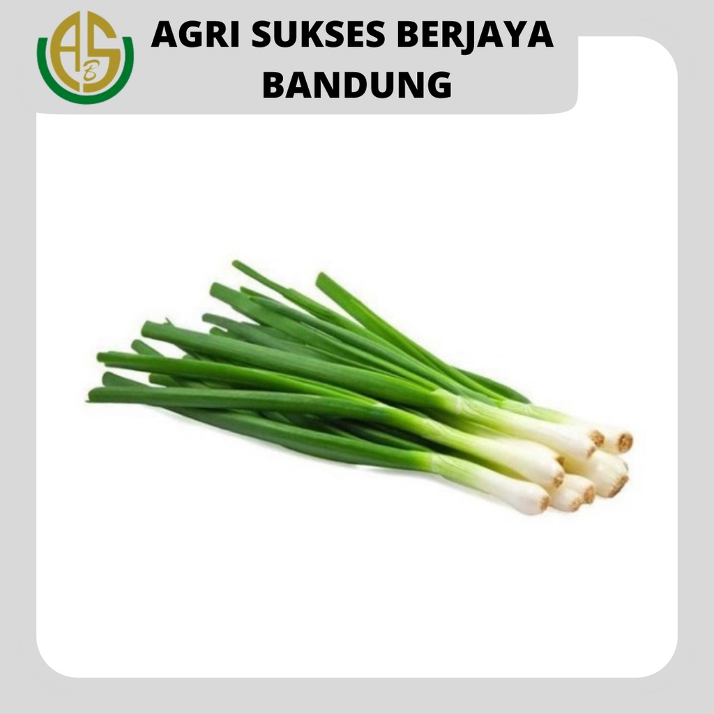 

BAWANG DAUN - 100 GRAM