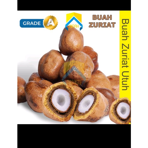 

0Buah Zuriat Promil Mesir 250g | Buah Doum / Zuriat Mesir Original | Premium Zuriat Promil Gold Premium