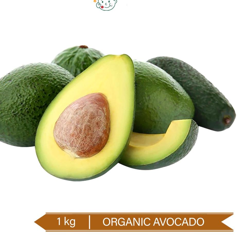 

➬ Buah Alpukat Oganik / Organic Avocado 1kg ➤