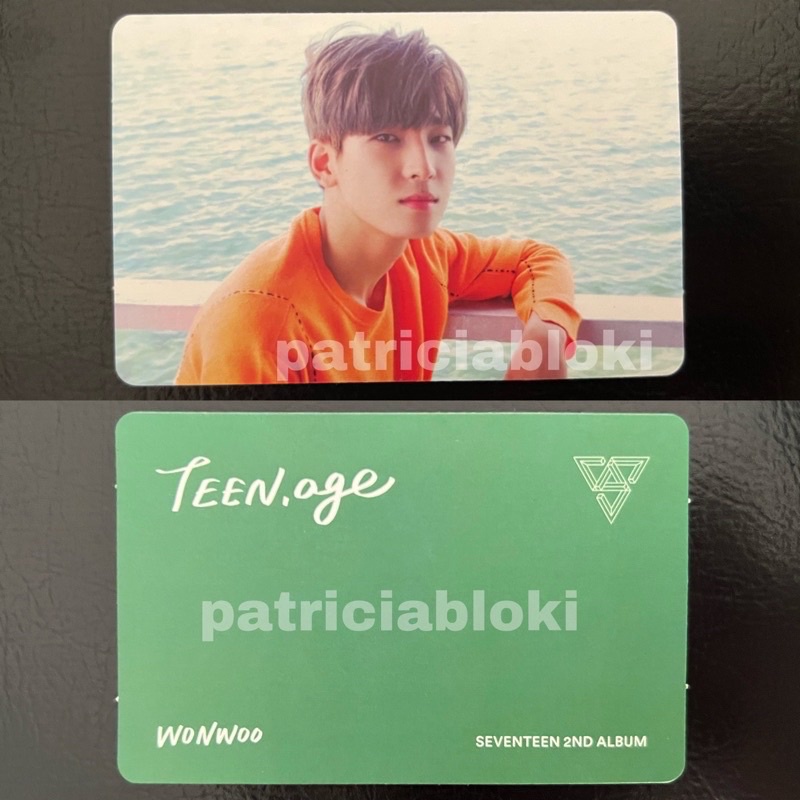 Official Photocard Wonwoo Seventeen Pc Album Teen Age Green Ver TA Green Batangas mingyu jeonghan dk