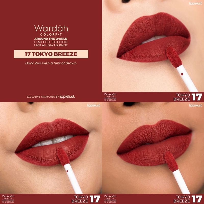 MFI - Wardah Colorfit Last All Day Lip Paint Series