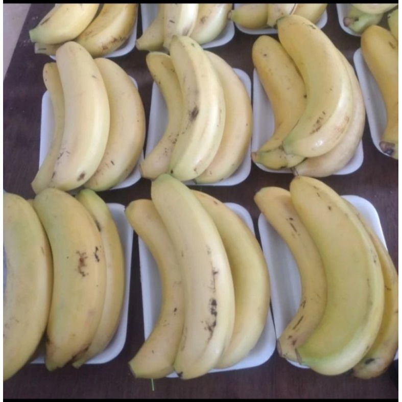 

pisang sunfrese 1pak