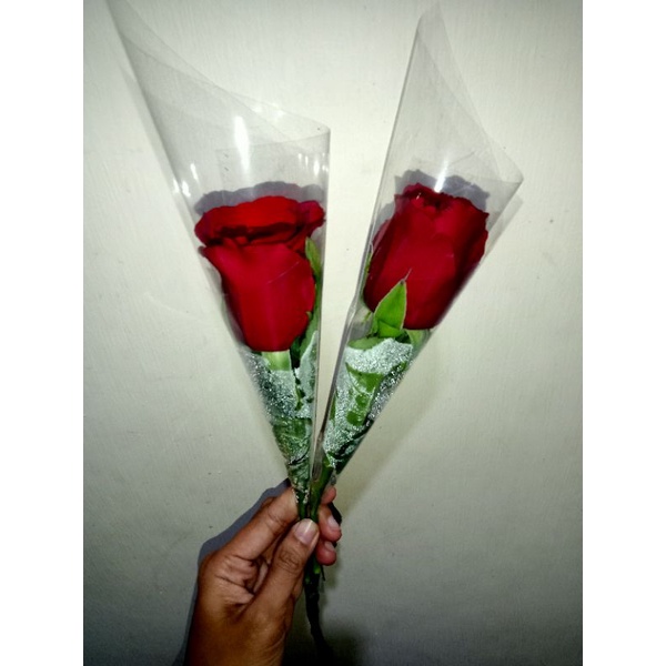 Bunga mawar merah asli segar pertangkai