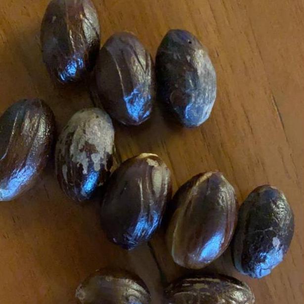 

Buruan Beli.. Pala Lonjong / Pala kulit asal Papua dapat 1kg. Paling Murah R0V