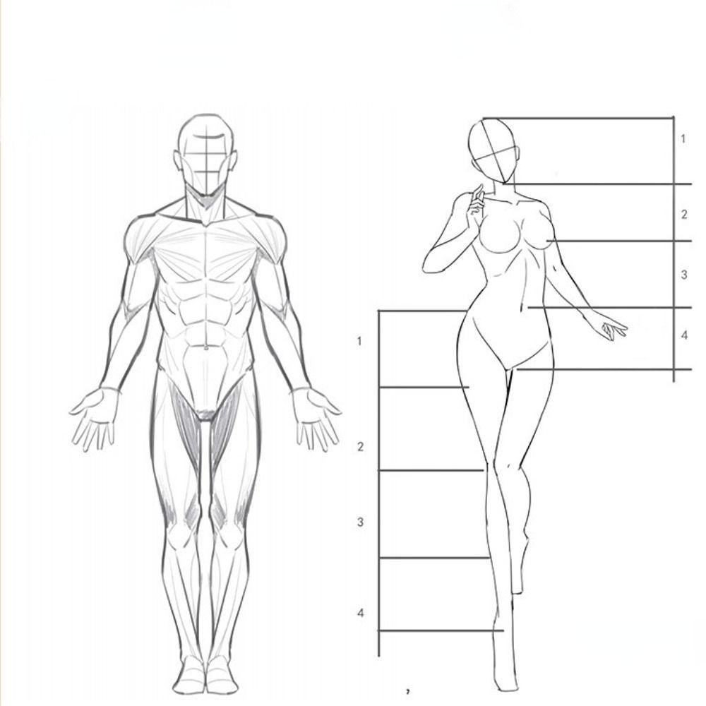 Lanfy Buku Tutorial Lukis Tangan Artis Siswa Perlengkapan Seni Struktur Tubuh Manusia Berlatih Karakter Anime Art Copy Practice Book