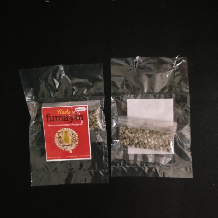 BIJI FUMAYIN IMPORT BELGIUM mendongkrak stamina burung terbukti gacor