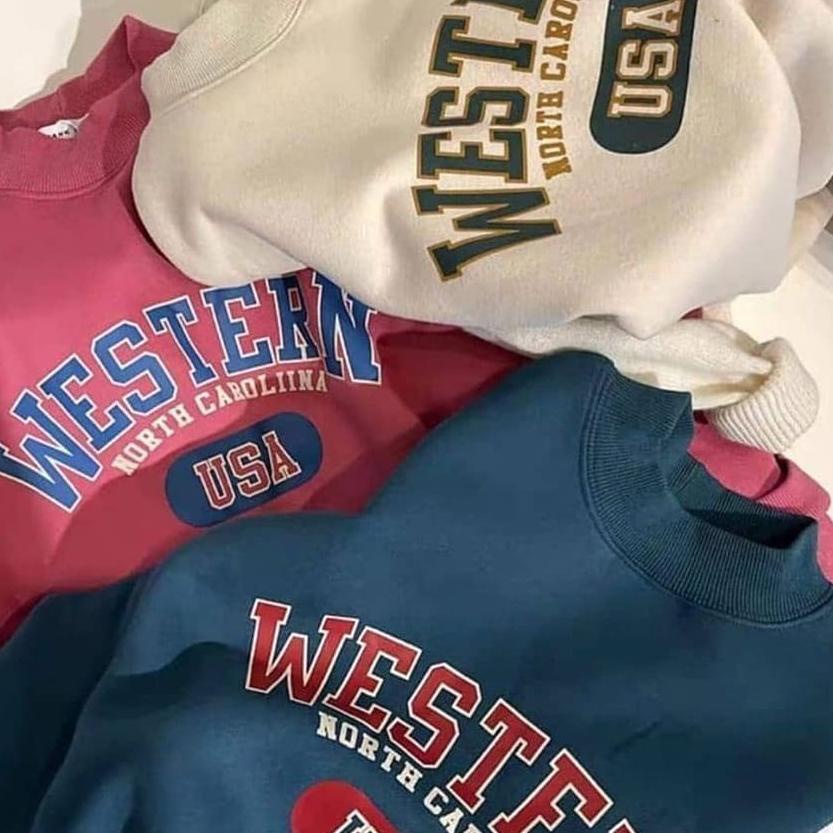 ✾ GFS WESTERN SWEATER ✻