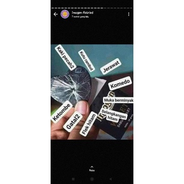 IMOGEN SARANG WALET DEWASA DAN ANAK