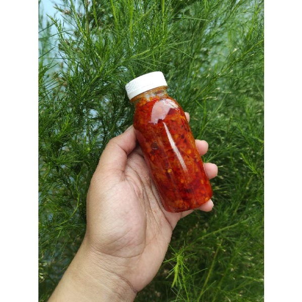 

sambal mandai