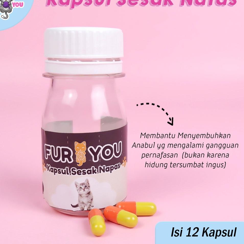 ✨TERBARU✨ kapsul kucing sesak nafas sesak nafas pada kucing murah