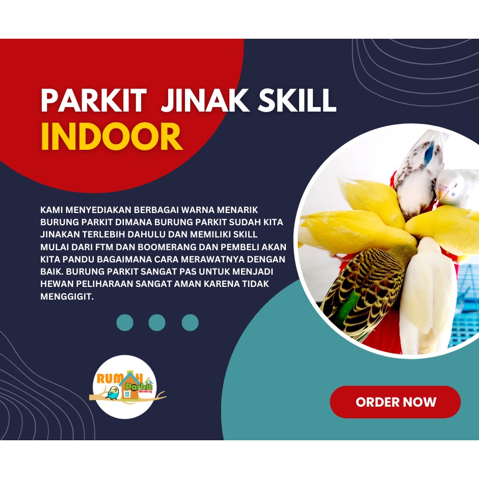 PARKIT JINAK SKILL INDOOR