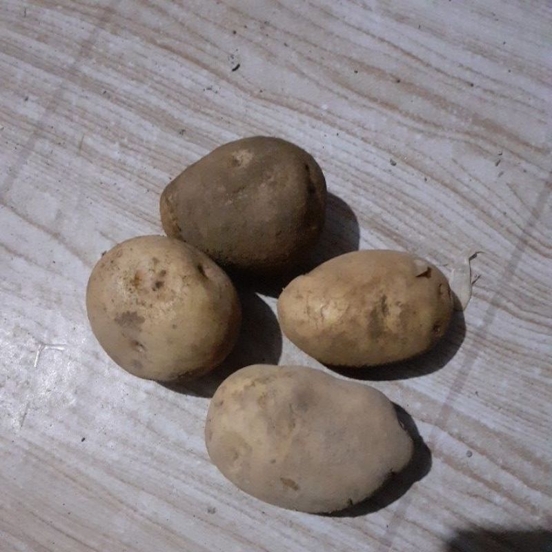 

kentang asli dieng 1 kiloan