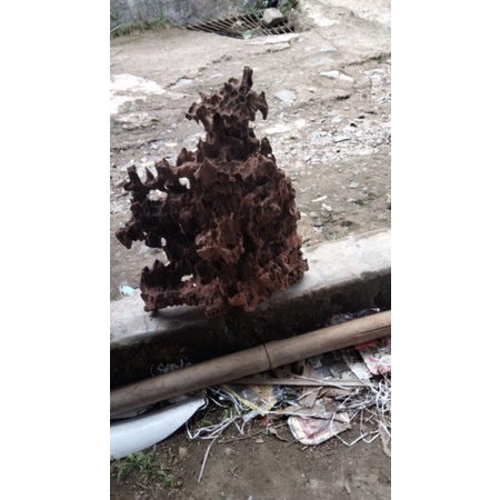 kayu rentek aquascape