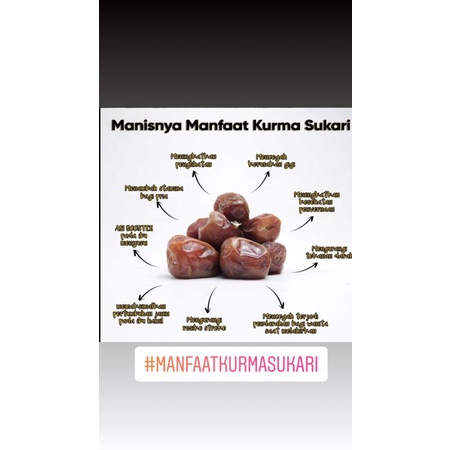 Kurma Sukari Premium Organik Castle Farm min 3,3 Kg Kurma Raja Sultan