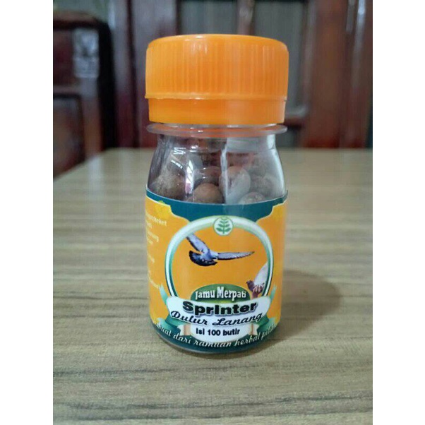 JAMU MERPATI SPRINTER DULUR LANANG
