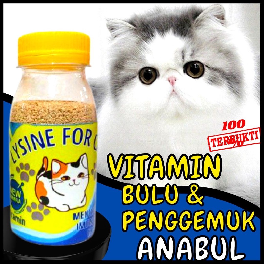 Penggemuk Kucing LYSINE PLUS Vitamin Lengkap