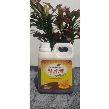 

madu hutan dorsata 1kg