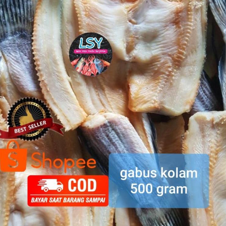 

☂ ikan asin gabus kolam size besar 500gr ←