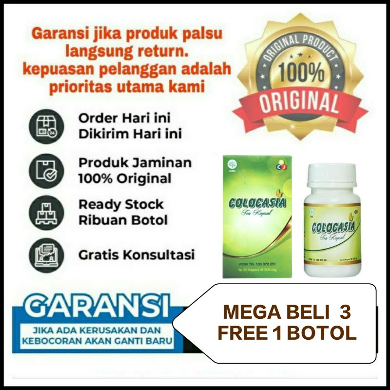 Colocasia asli 100% original obat nyeri sendi& tulang obat colocasia