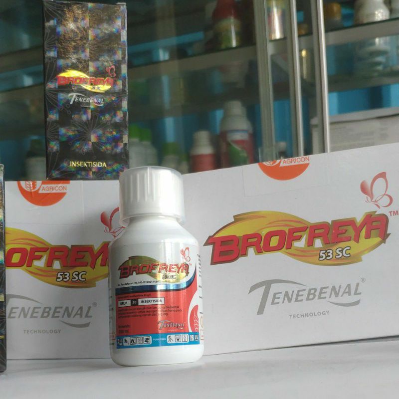 BROFEYA PEMBASMI ULAT PADA TANAMAN BAWANG MERAH