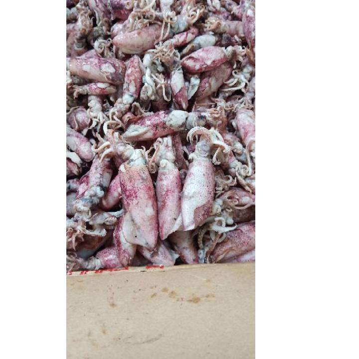

℗ Cumi asin 1kg Termurah/cumi asin rebus/ikan asin cumi ➷