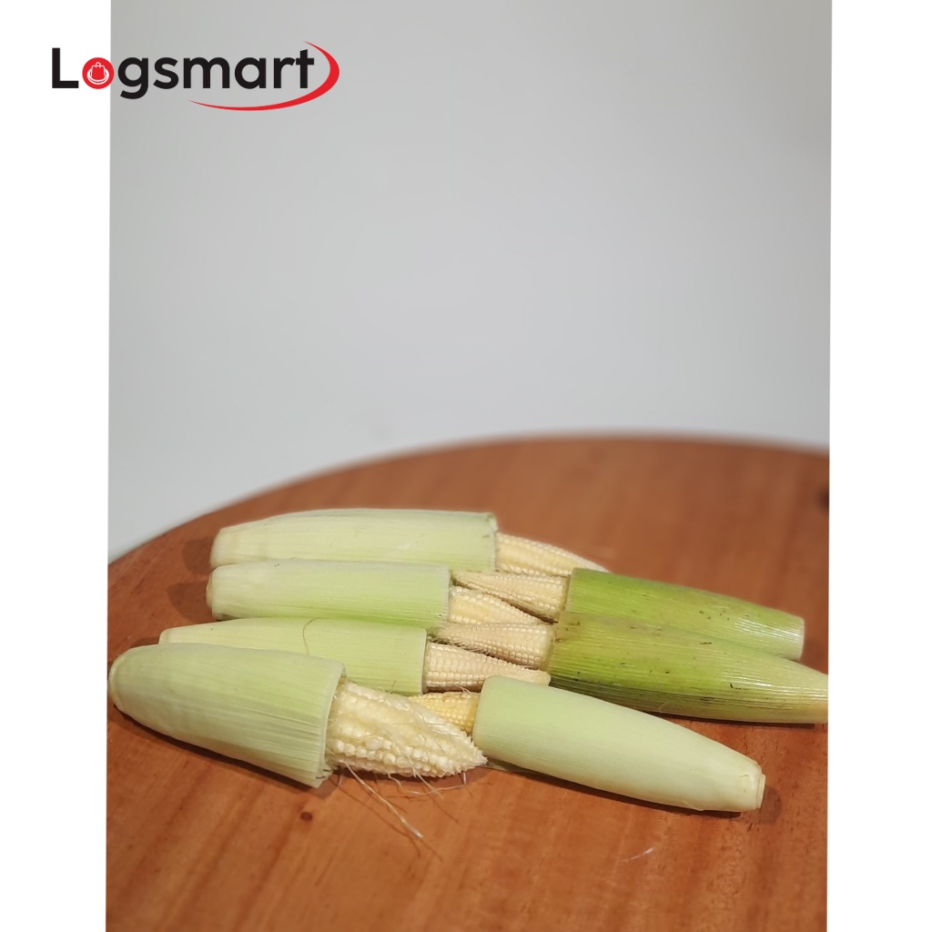 

PUTREN (BABY CORN)
