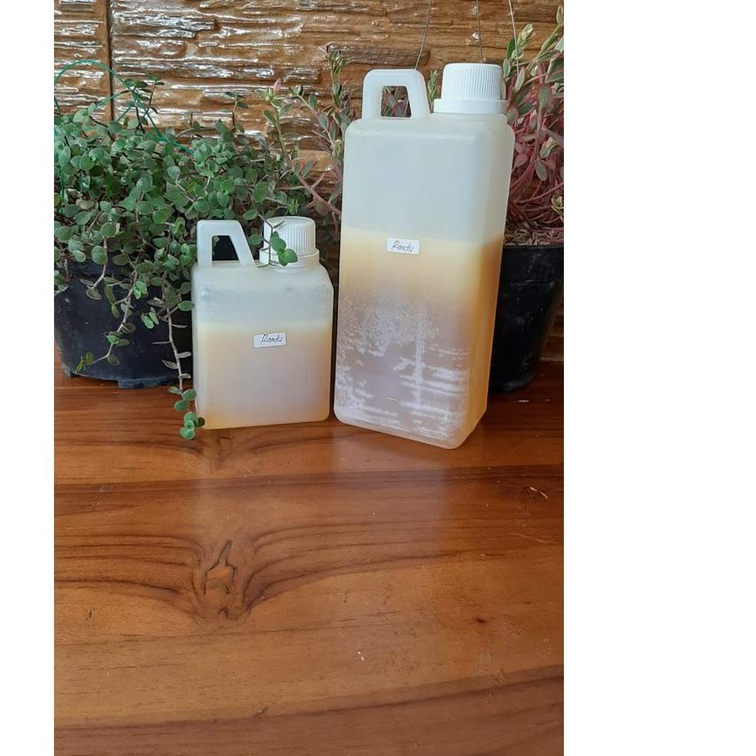 

◊ Promo nektar randu premium asli 1kg ☋