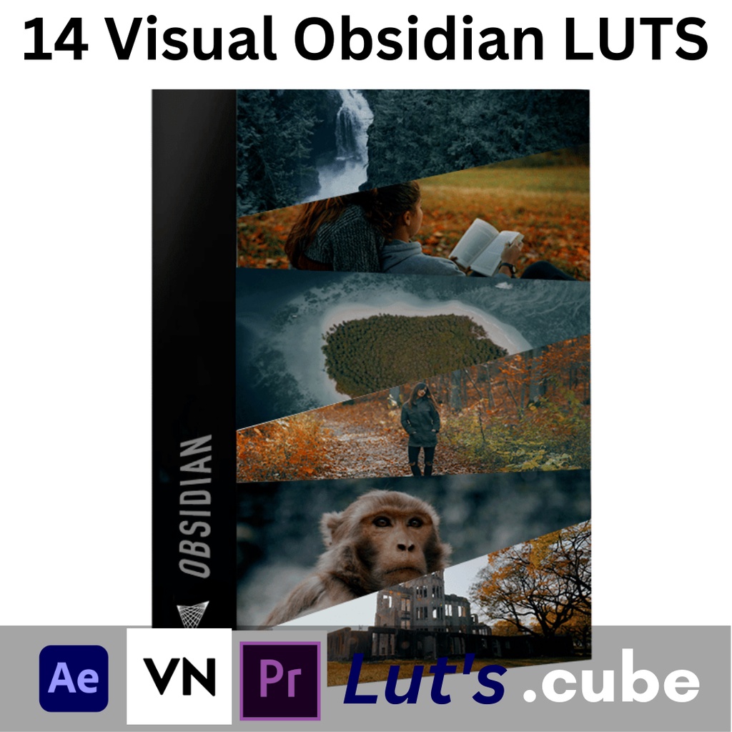 14 Visualfirst Obsidian Luts (Bisa VN/Ae/Pr dll)