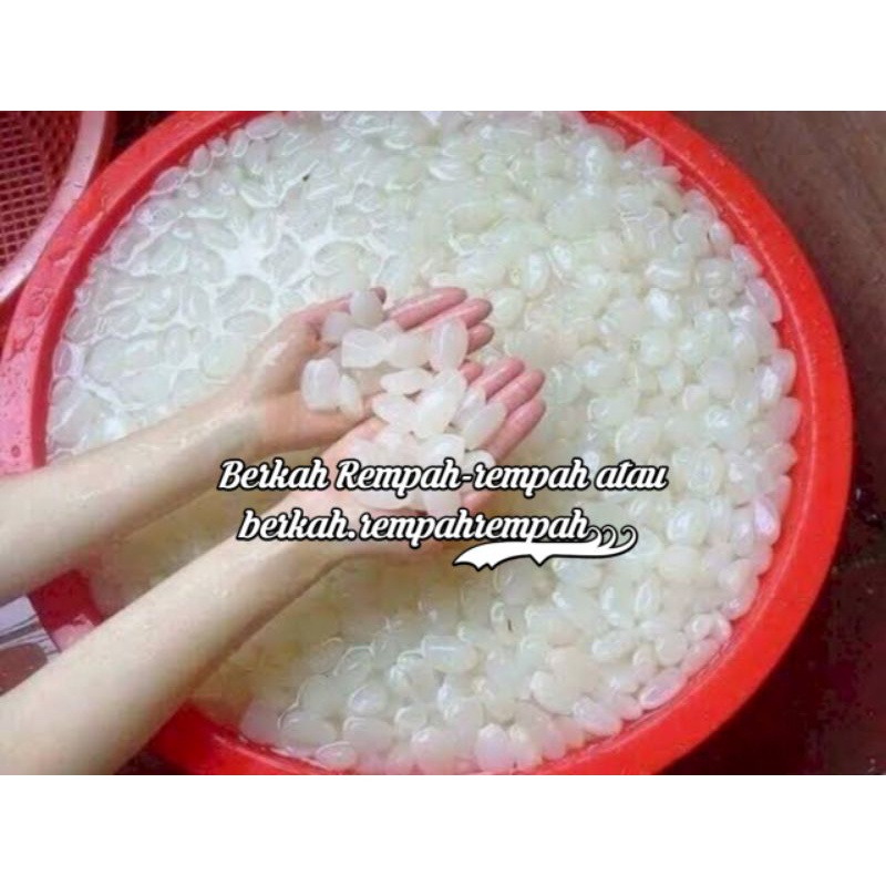 

Kolang Kaling mentah segarr dan fresh 500g