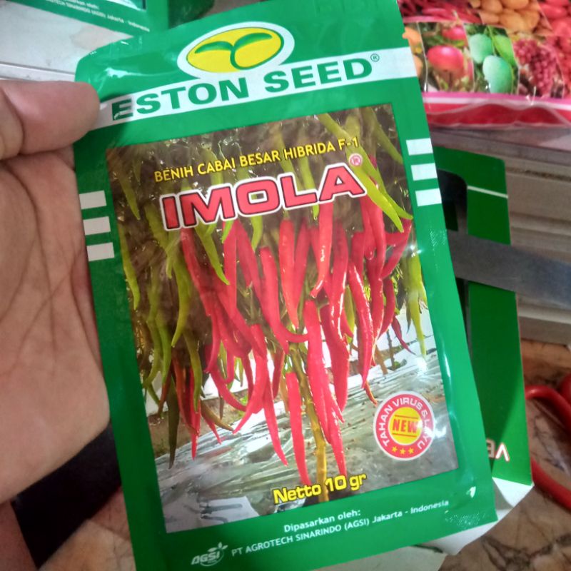 Benih Cabe besar hibrida F1 IMOLA