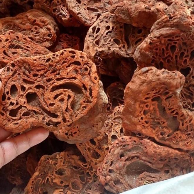 

♨ Sarang Semut Papua Asli 500gr ➽