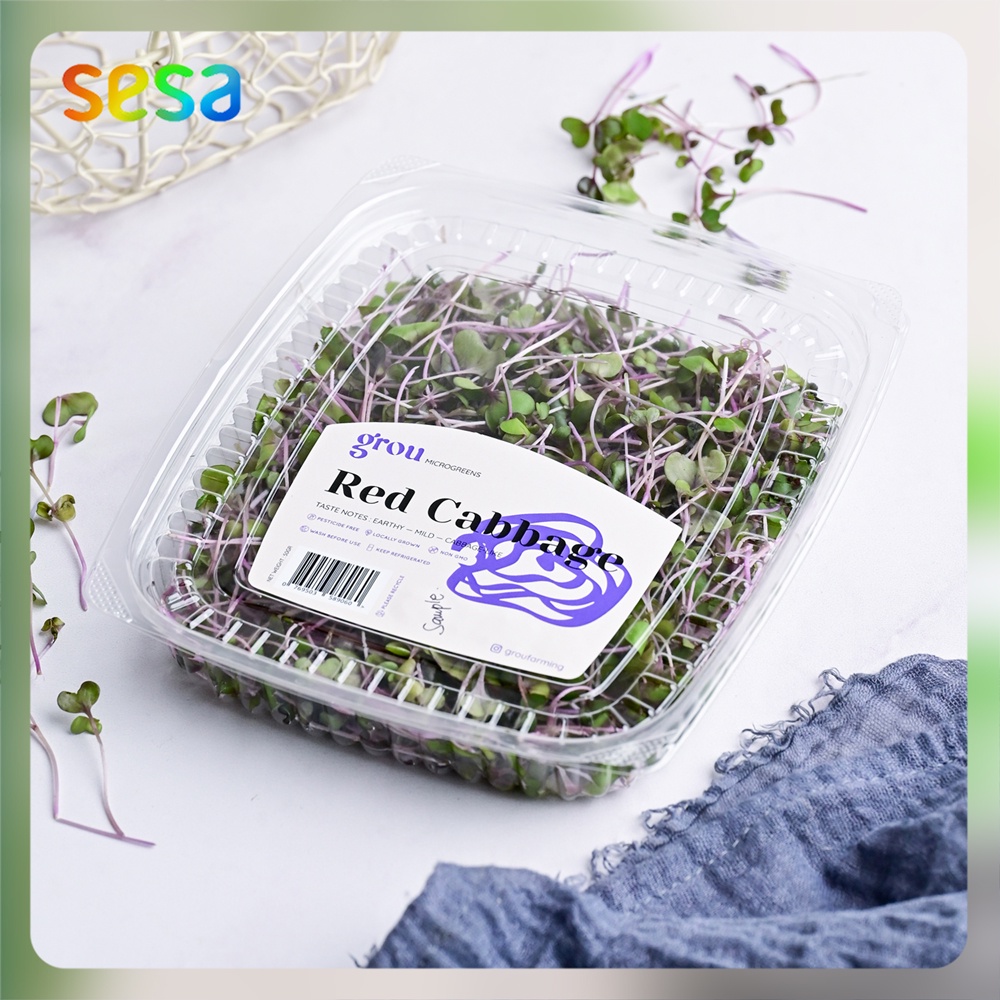 

Microgreens Red Cabbage 50 g