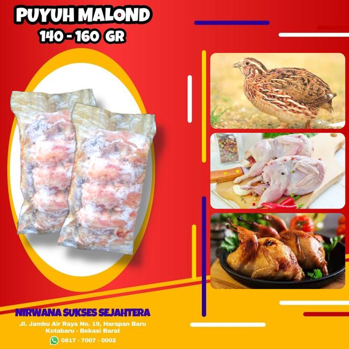 

BURUNG PUYUH MALOND (140-160 GR) ISI 10 EKOR TERLARIS