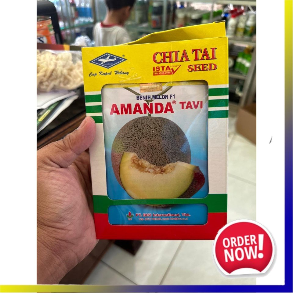 BENIH MELON F1 AMANDA TAVI 550 BUTIR ASLI KAPAL TERBANG