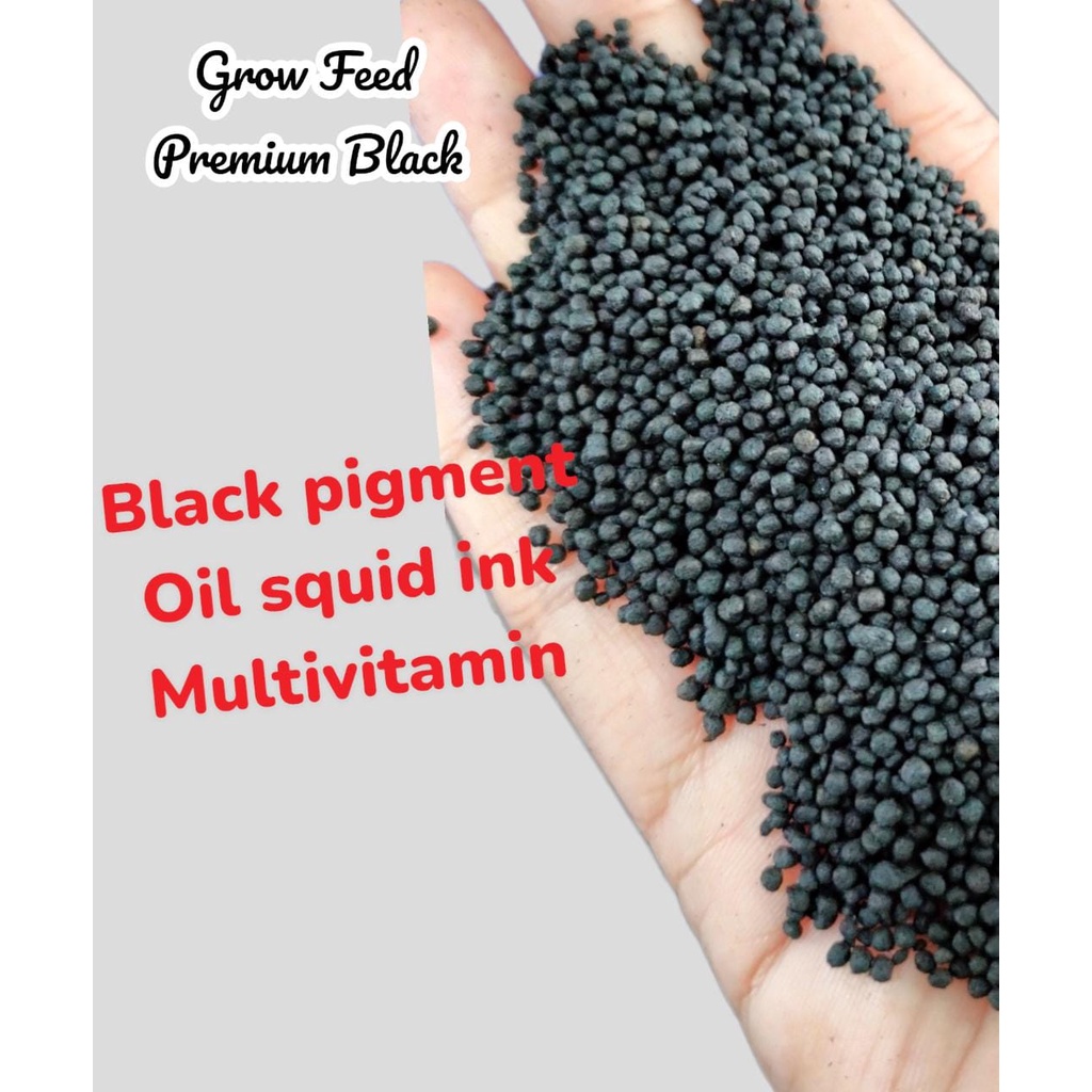 GROW FEED PREMIUM BLACK pelet ikan channa asiatica koki / black pelet merubah warna ikan hitam