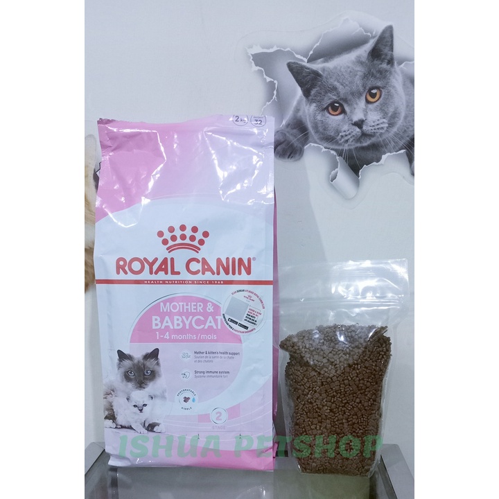 Royal Canin Mother Baby Cat Repack 500 gram